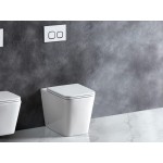 Enox Rimless Floor-mount Toilet Pan Only Enox Rimless Floor-mount Toilet Pan Only